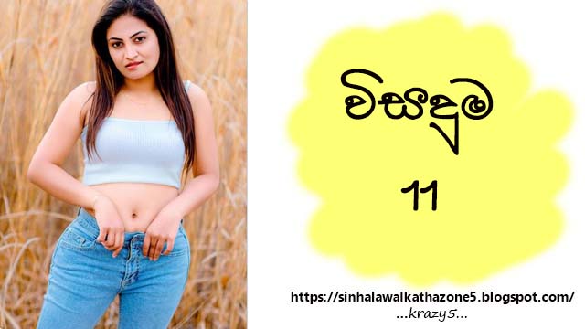 Wisaduma | විසදුම 11